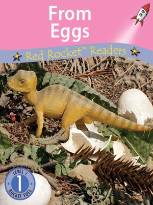 cover image of From Eggs